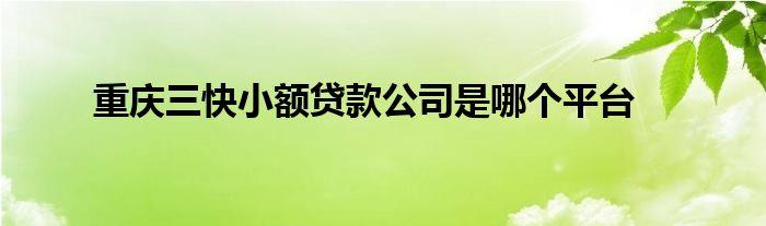 重庆云阳贷款公司的利率优势解析(云阳本地小额贷款服务咨询公司)